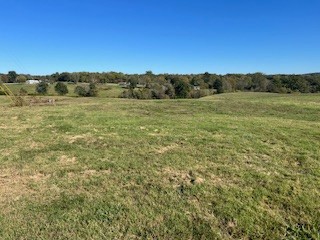 a view of a field with an trees