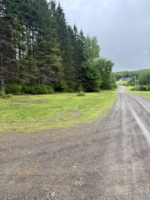 1337 East Plantation Road Blaine, ME 04734 - Photo 40 of 43 IMG_1118