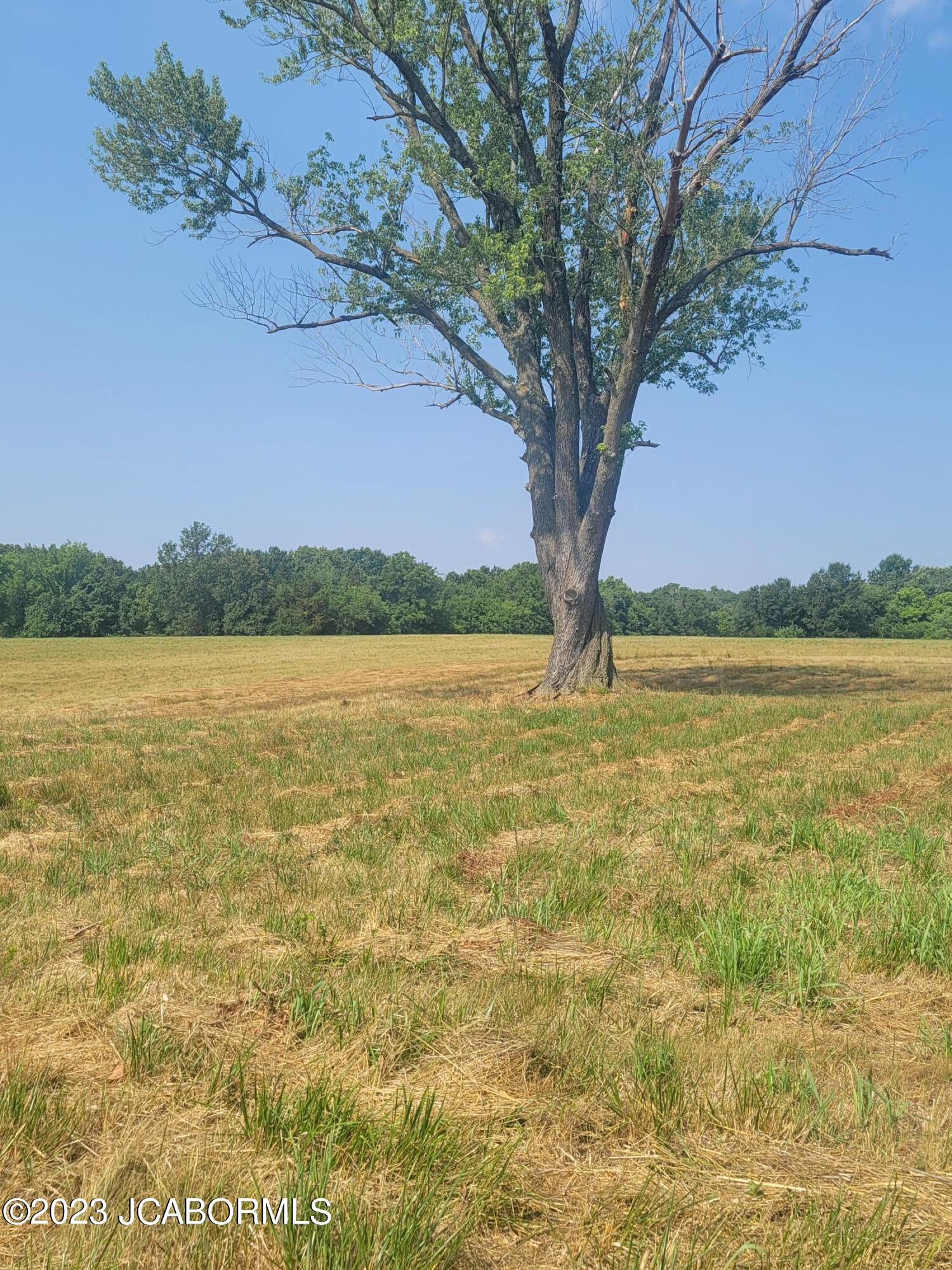 Tbd Cary Road California, MO 65018 - Photo 1 of 1