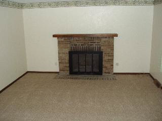 6295 Swiss Garden Road Temperance, MI 48182 - Photo 7 of 20 Fireplace