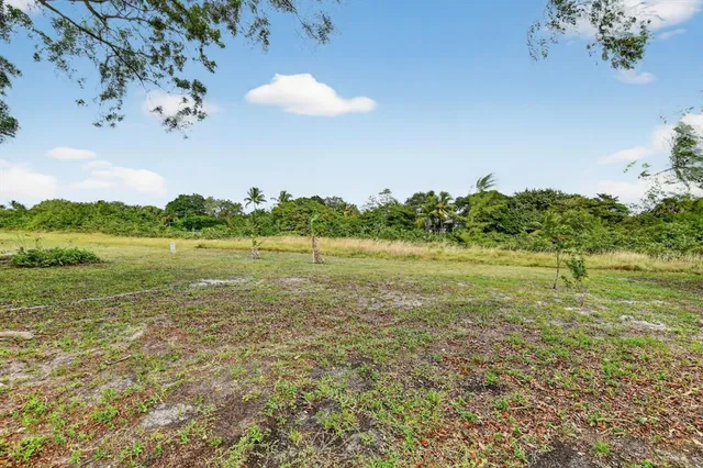 a view of a white house with a big yard and large tree