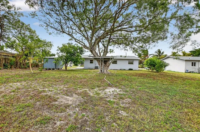 a view of a yard with a tree