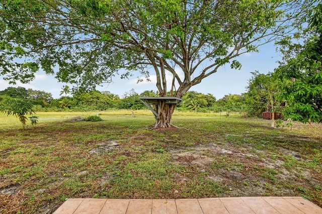 a view of a yard with a tree