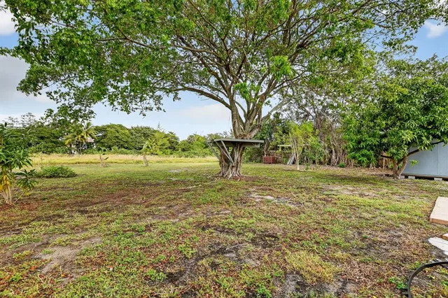 a front view of house with yard and trees