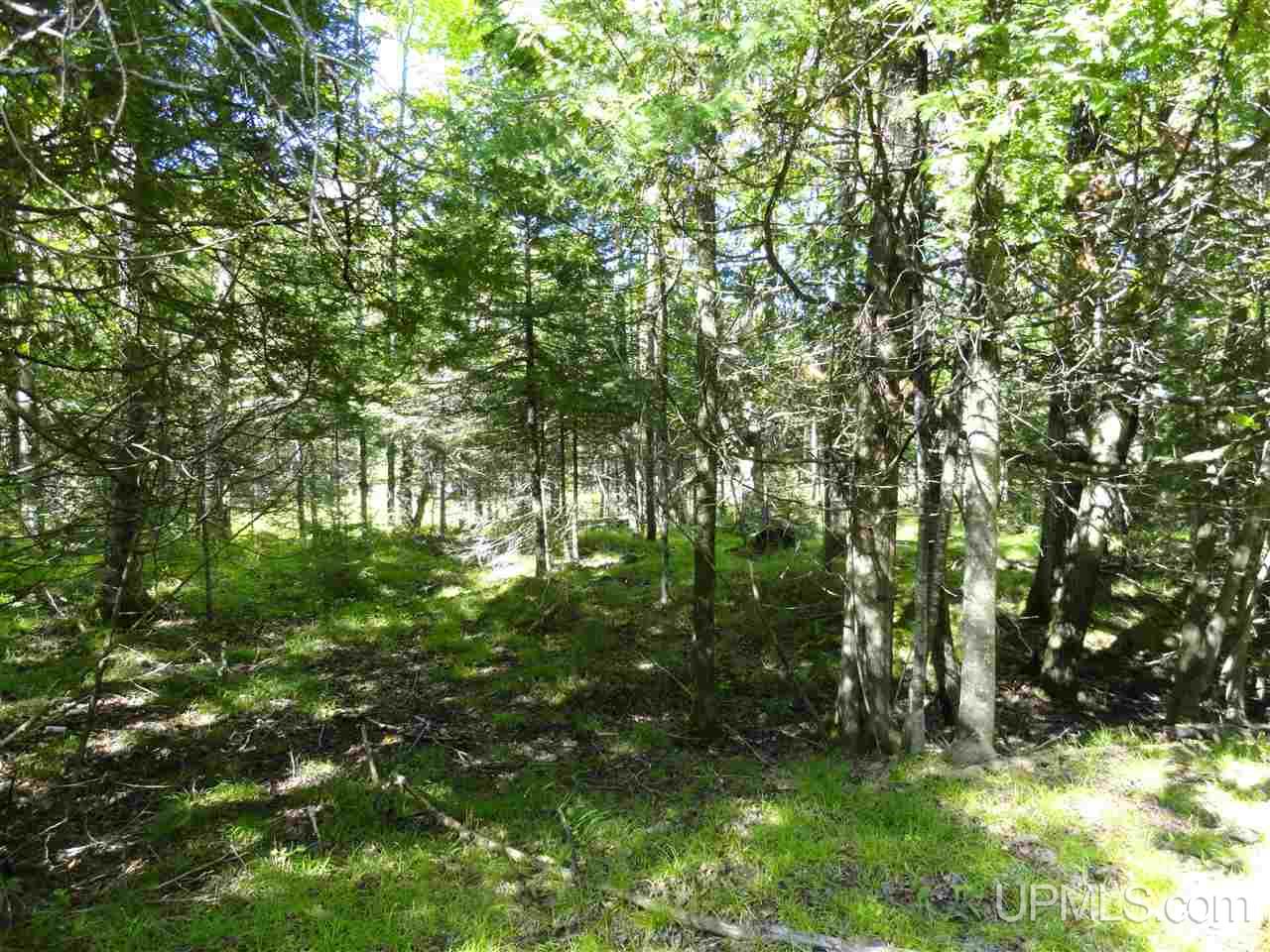 6386 Co Rd 432 Rock, MI 49880 - Photo 31 of 39