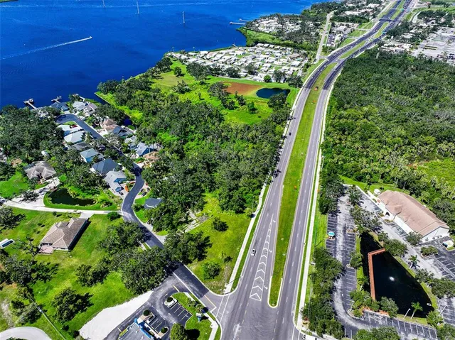a view of a garden with plants
