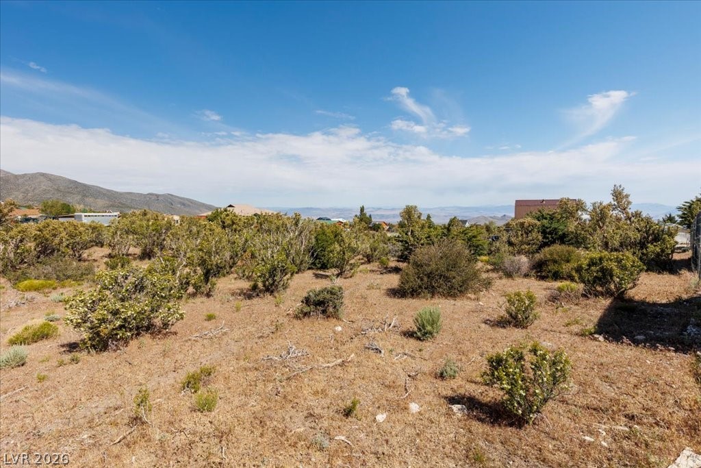 52 Birch Spring Cold Creek, NV 89124 - Photo 11 of 43