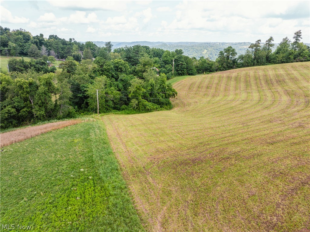 50109 Sykes Ridge Road Clarington, OH 43915 - Photo 16 of 39