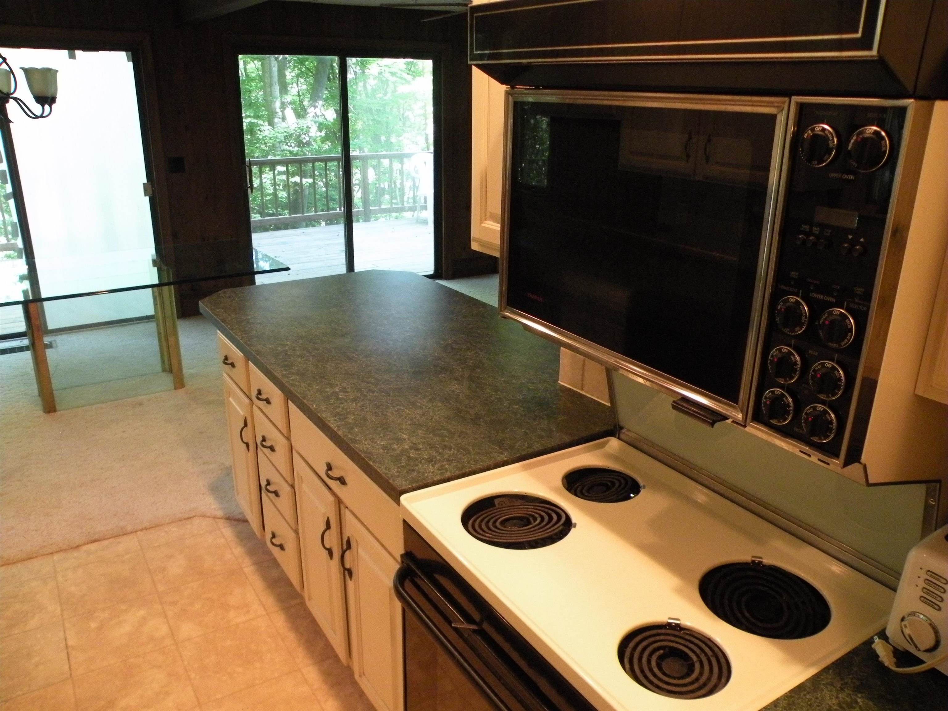 4350 Ridge Run Road Bellaire, MI 49615 - Photo 7 of 38 1901016-6.JPG