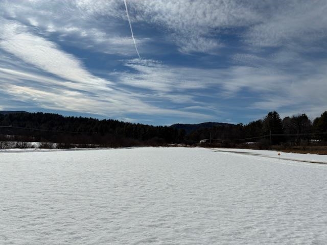0 Vt Rt 131 Perkinsville, VT 05151 - Photo 1 of 7