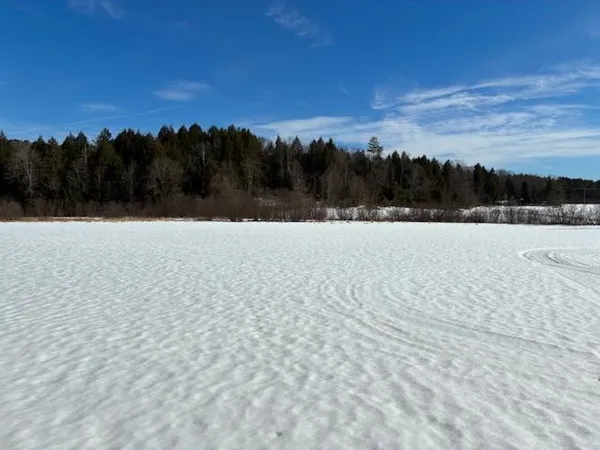 $650,000 | 0 Vt Rt 131, Perkinsville, VT 05151