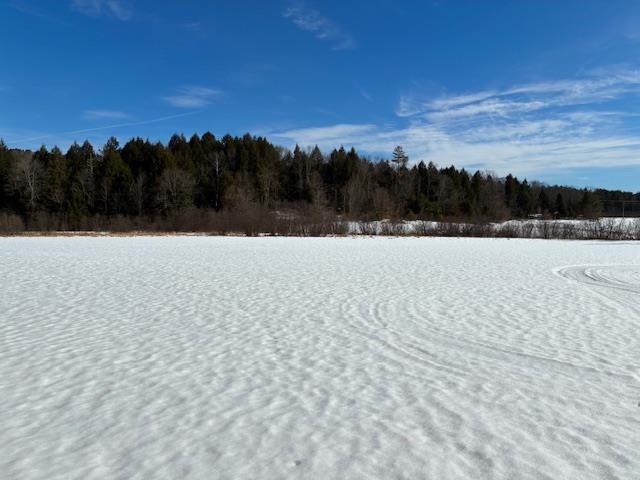 0 Vt Rt 131 Perkinsville, VT 05151 - Photo 4 of 7