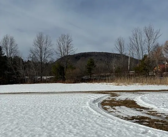 $650,000 | 0 Vt Rt 131, Perkinsville, VT 05151
