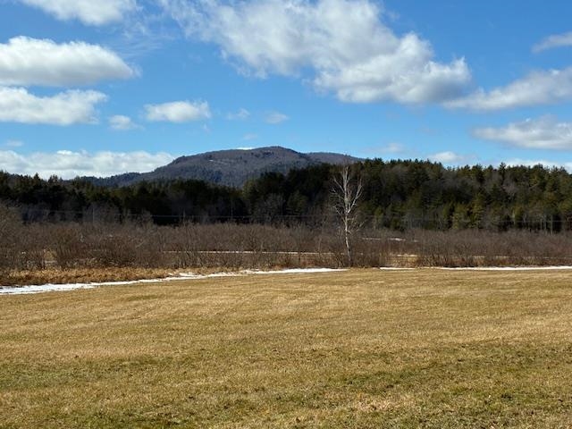 0 Vt Rt 131 Perkinsville, VT 05151 - Photo 6 of 7