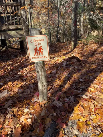 $525,000 | 220 Stoney Falls Loop, Unit 1 B2, Burnsville, NC 28714