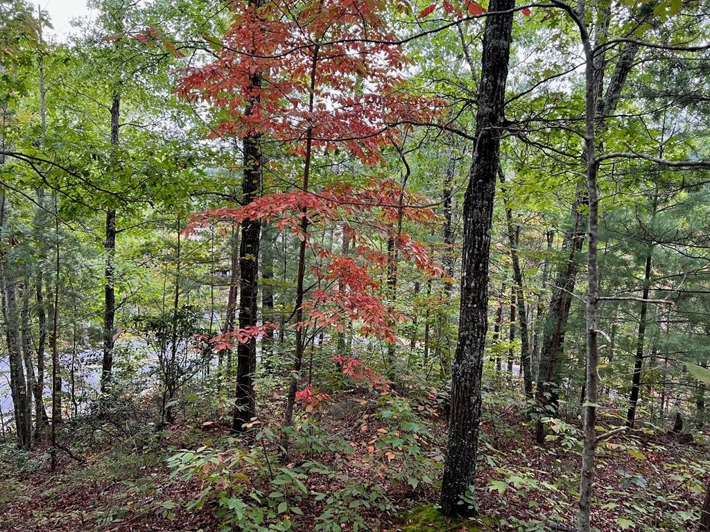 30 Ridgeback Lane Sevierville, TN 37862 - Photo 26 of 34