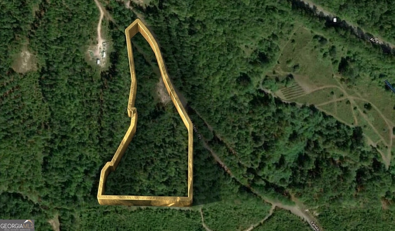 0 Sandcut Road, Unit LOT 1 Nauvoo, AL 35578 - Photo 5 of 8