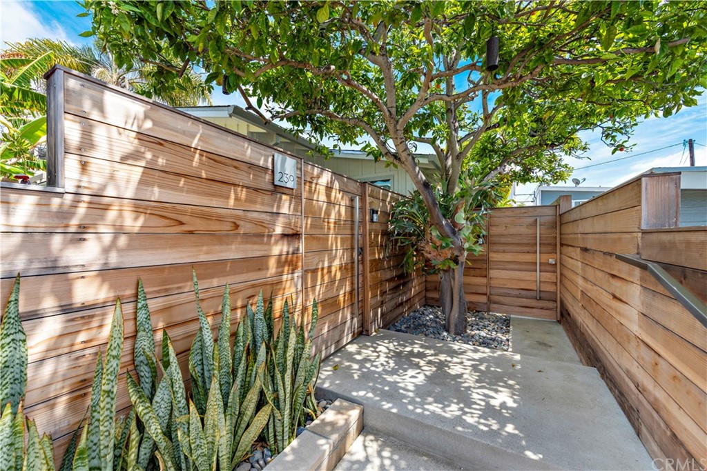 239 Fairview Street Laguna Beach, CA 92651 - Photo 46 of 67 a backyard of a house
