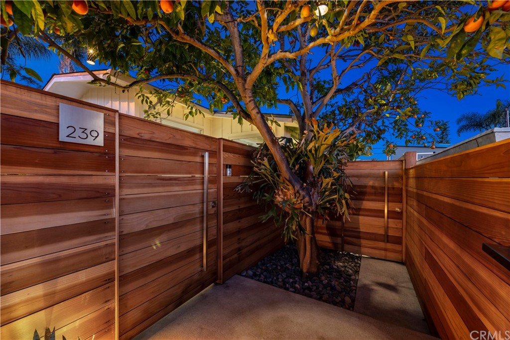 239 Fairview Street Laguna Beach, CA 92651 - Photo 51 of 67