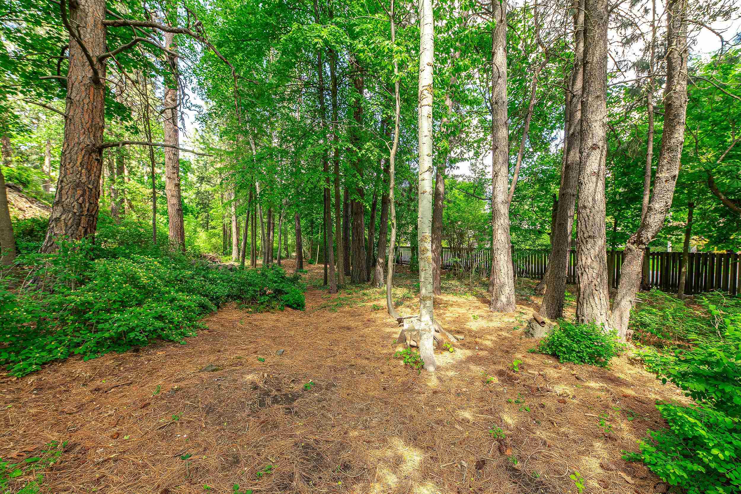 2127 South Helena Street Spokane, WA 99203 - Photo 46 of 50