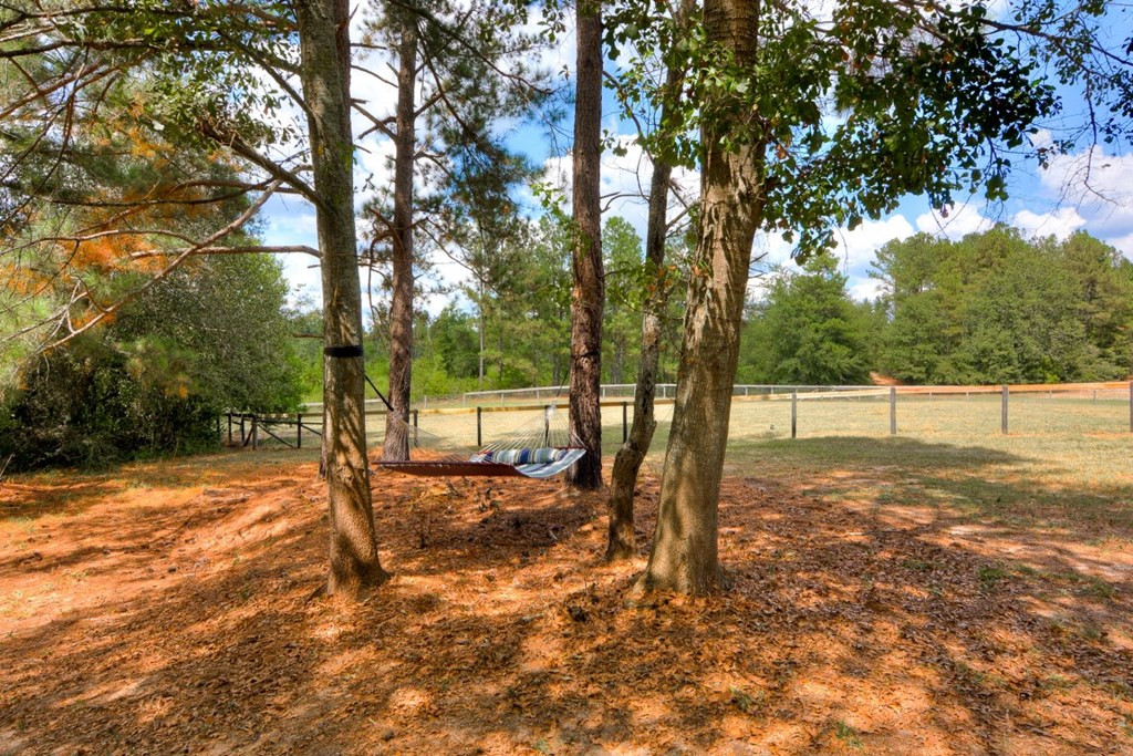 43 Grindiddys Farm Road Aiken, SC 29801 - Photo 38 of 57