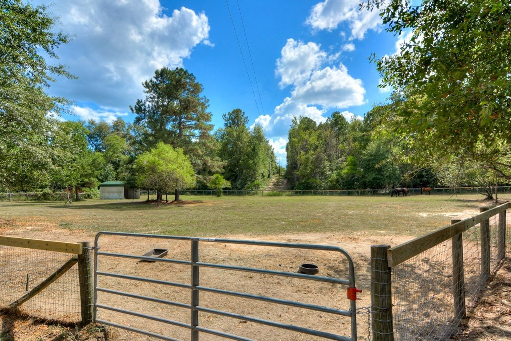 43 Grindiddys Farm Road Aiken, SC 29801 - Photo 40 of 57