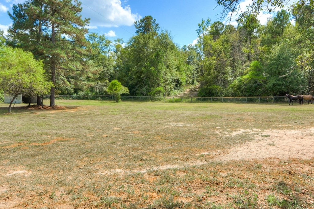 43 Grindiddys Farm Road Aiken, SC 29801 - Photo 57 of 57