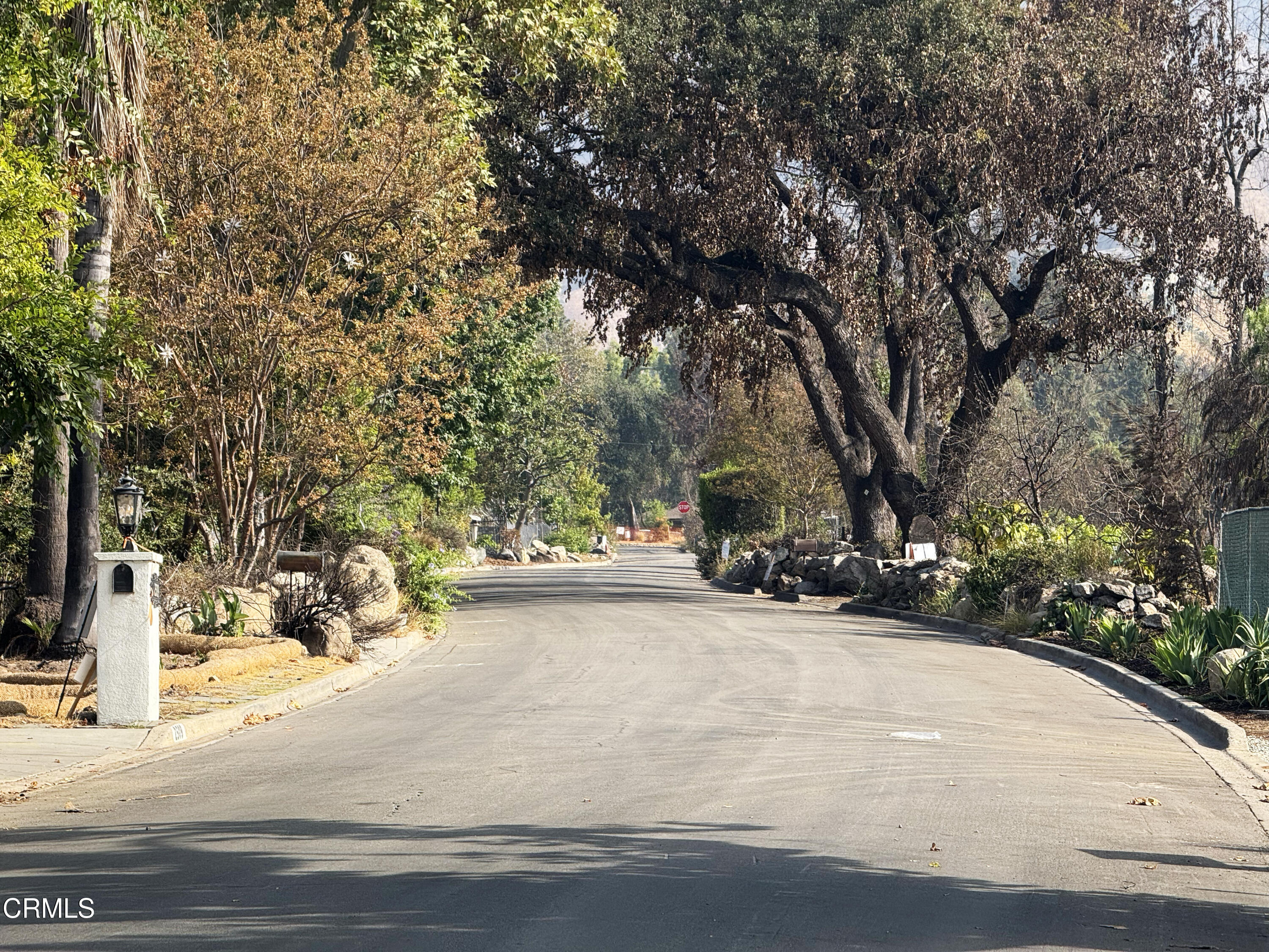 2509 Boulder Road Altadena, CA 91001 - Photo 5 of 40 IMG_5672