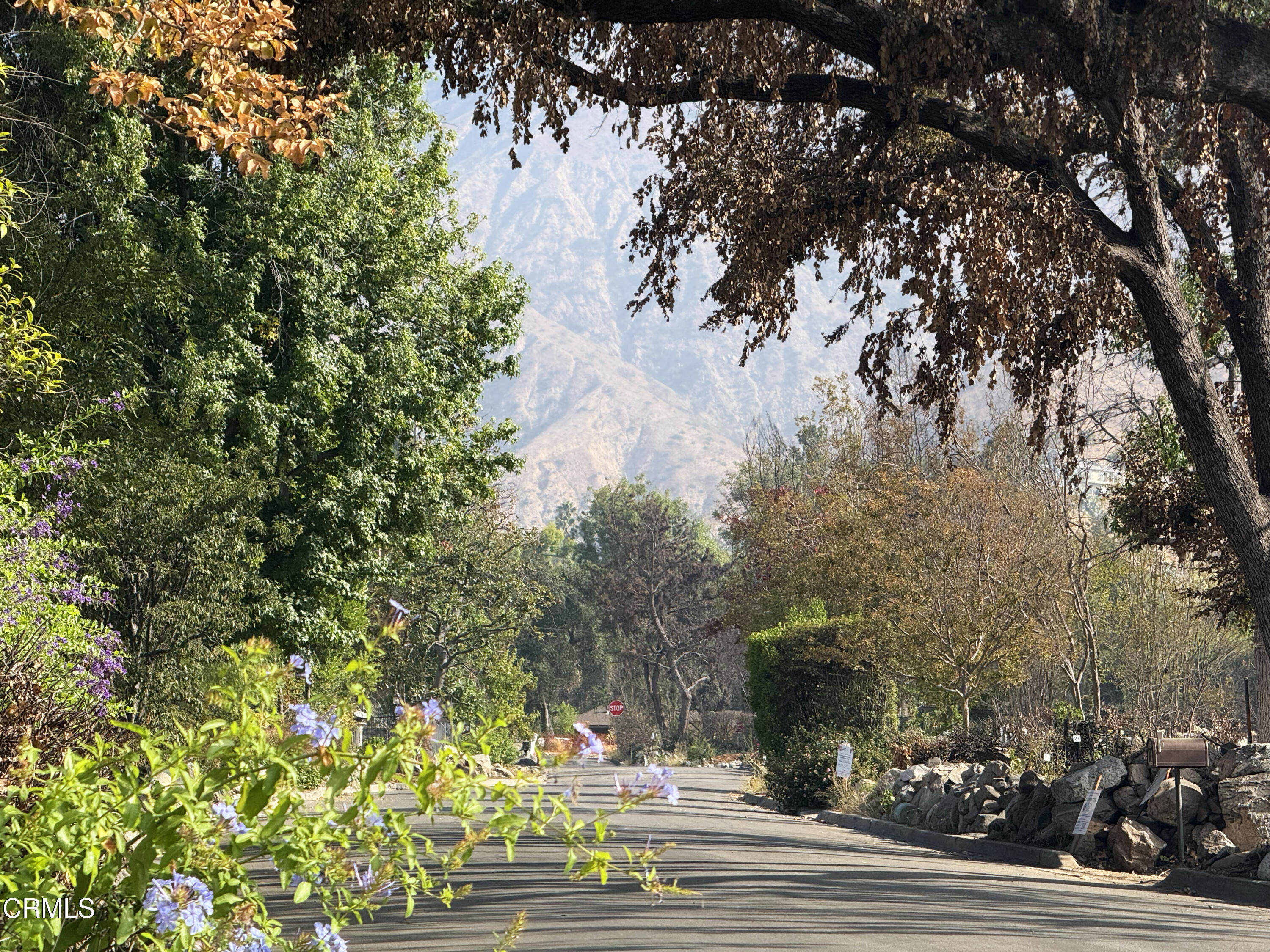 2509 Boulder Road Altadena, CA 91001 - Photo 7 of 40 IMG_5689