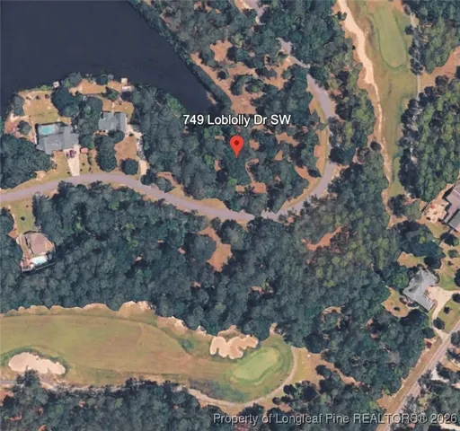 a view of a dry yard with lots of trees