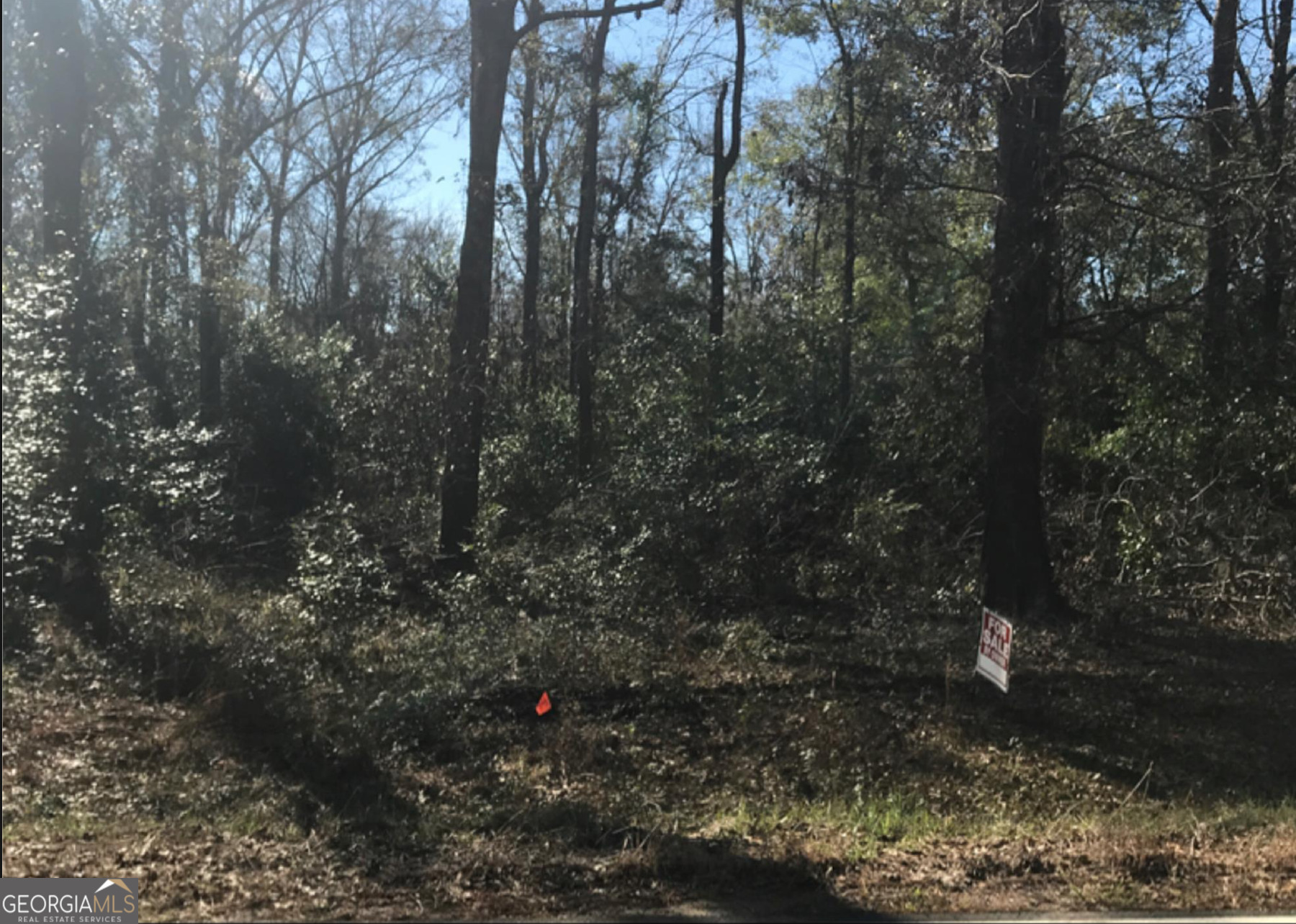 0 Cork Ferry Road Cordele, GA 31015 - Photo 2 of 2