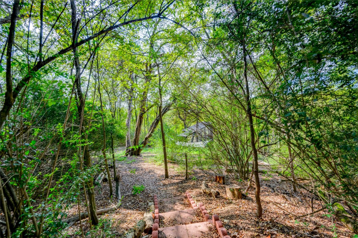5323 Downs Drive Austin, TX 78721 - Photo 27 of 28 a backyard of a house with lots of green space