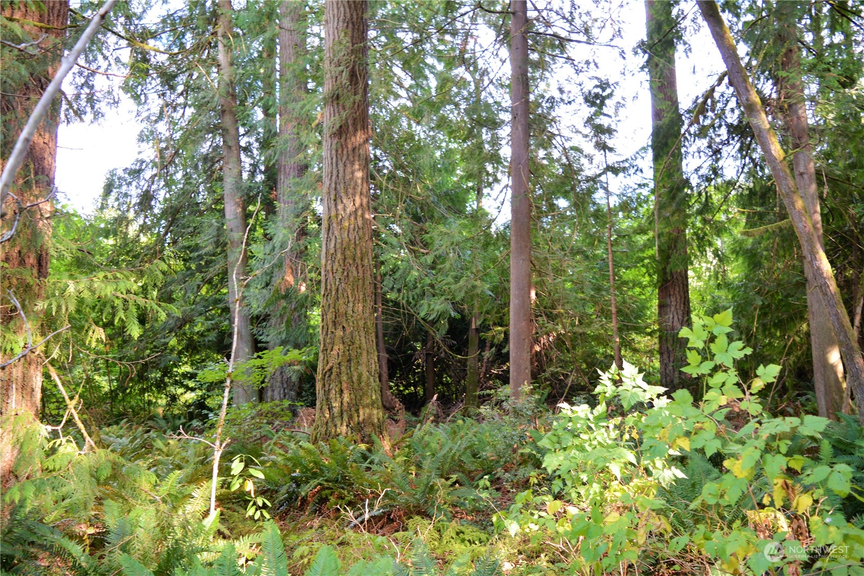 51-xx Galbraith Road Acme, WA 98220 - Photo 11 of 12 Gallery Image 11