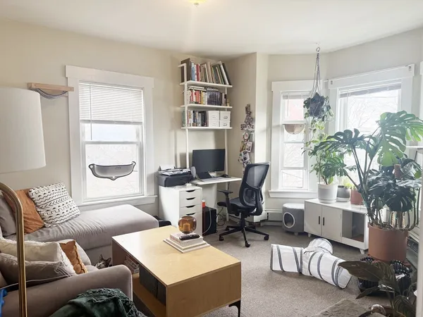 a living room with furniture window and a potted plant