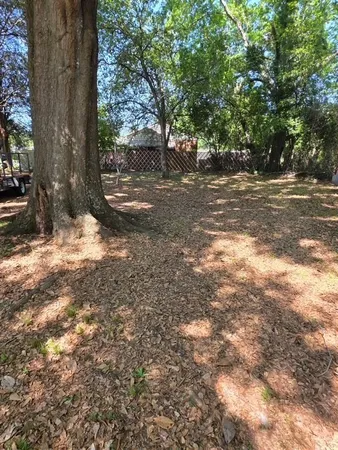 a view of a tree with a yard