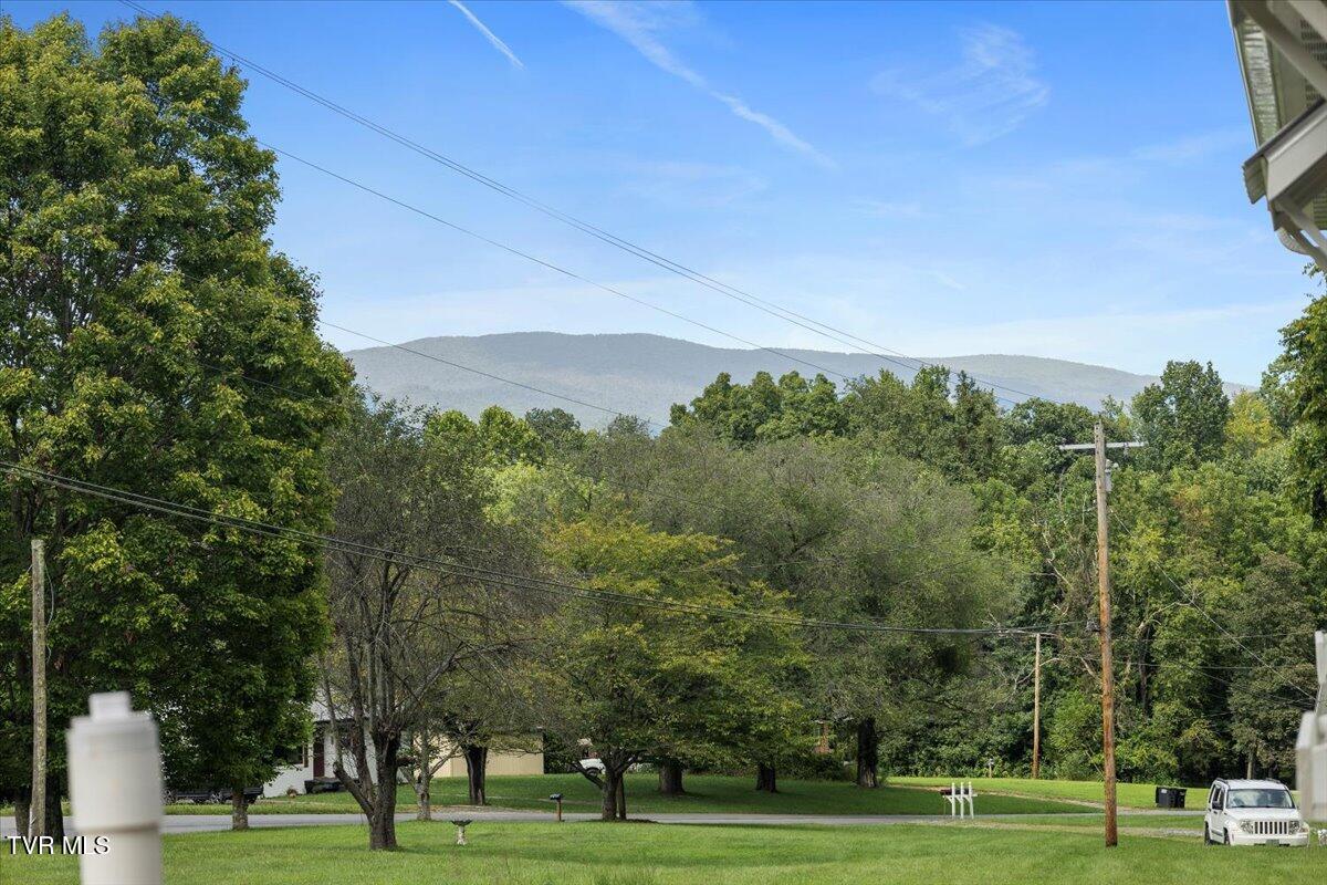 2739 Siam Road Elizabethton, TN 37643 - Photo 7 of 40 06-128A6752