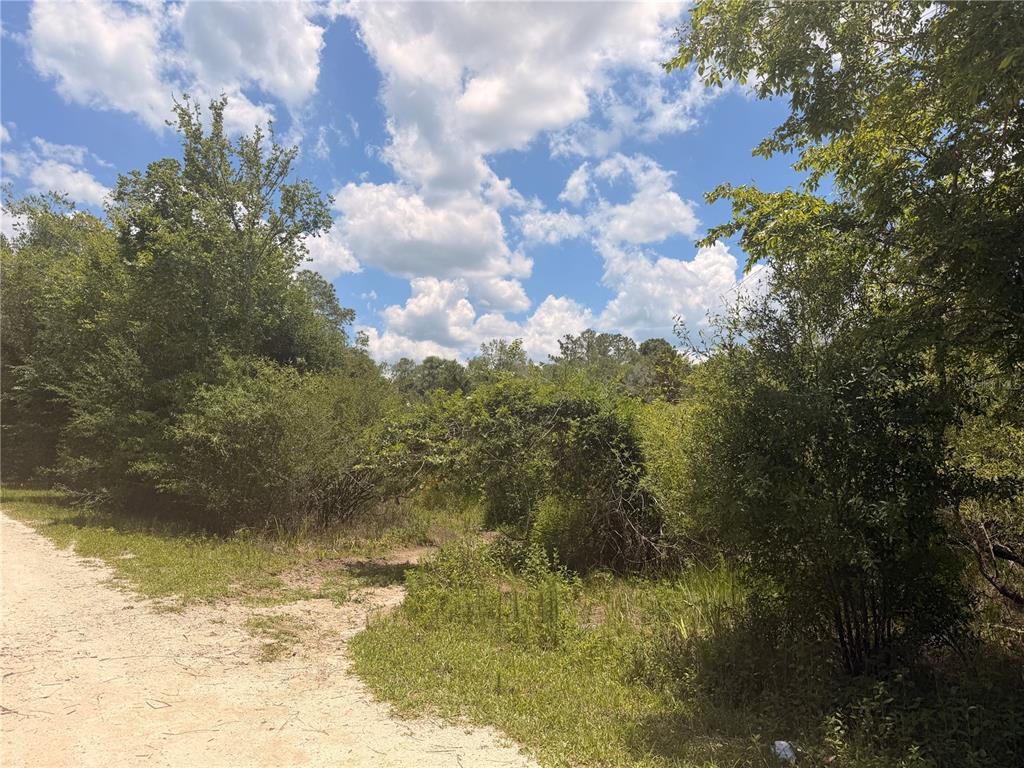 3 Chipstone Street Webster, FL 33597 - Photo 5 of 6
