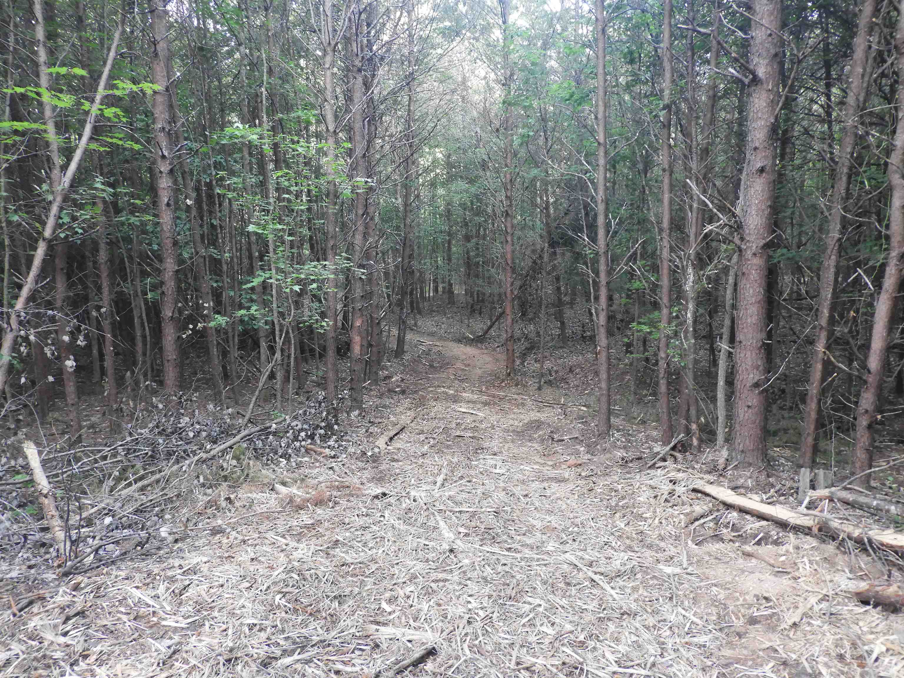2109-tract D 2109-tract D Riddle Road Pauline, SC 29374 - Photo 35 of 42