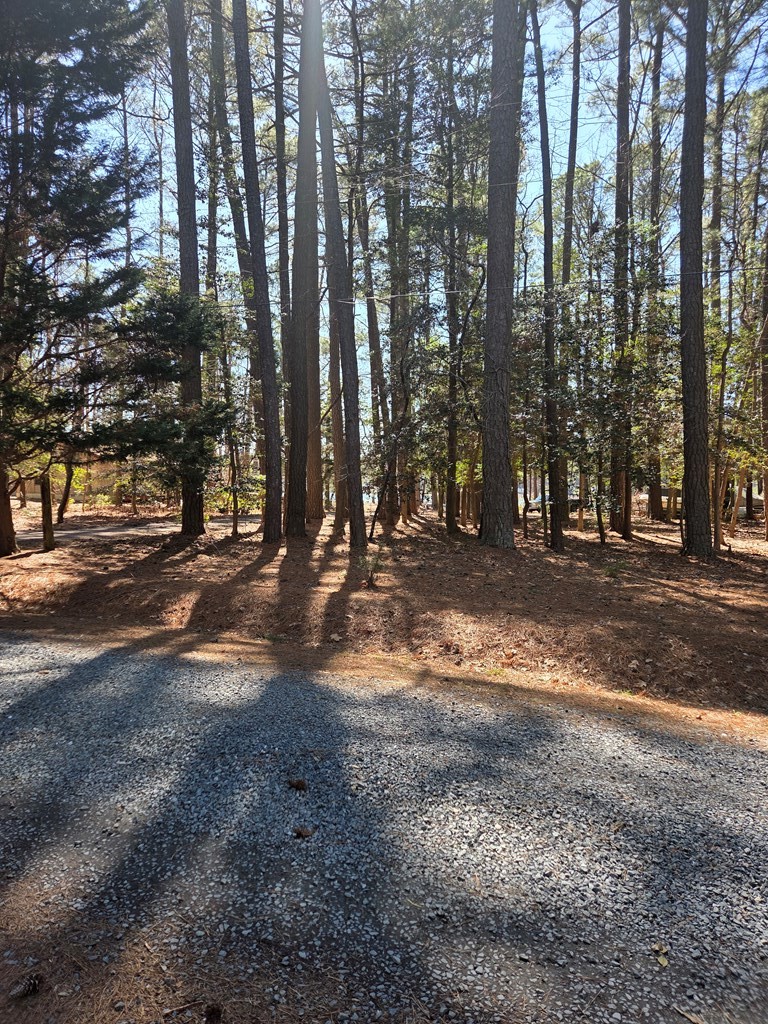 0 Holly Cove Road, Unit 13 Onancock, VA 23417 - Photo 5 of 5