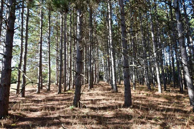 $89,900 | N5890 18th Court, Wild Rose, WI 54984