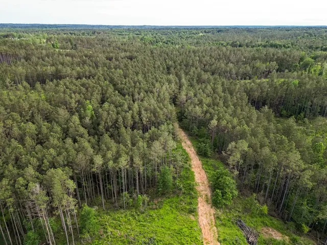 $825,000 | 2 Cemetary Road, Ecru, MS 38841