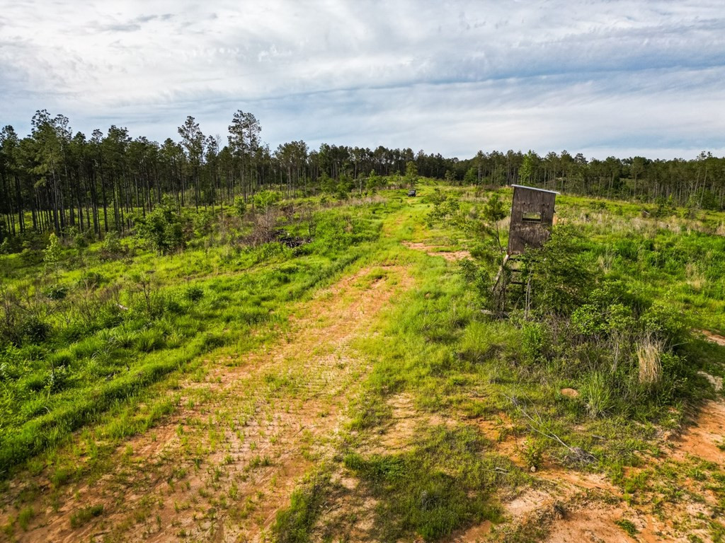2 Cemetary Road Ecru, MS 38841 - Photo 15 of 39 Photo 15