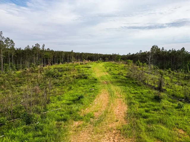 $825,000 | 2 Cemetary Road, Ecru, MS 38841