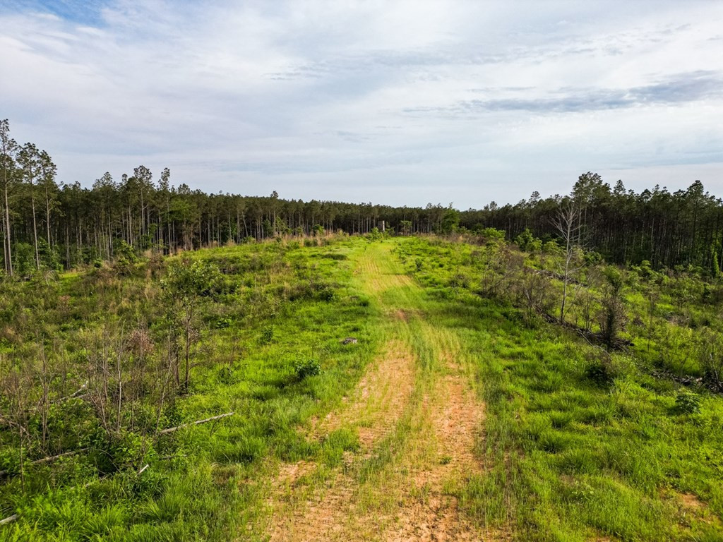 2 Cemetary Road Ecru, MS 38841 - Photo 16 of 39 Photo 16