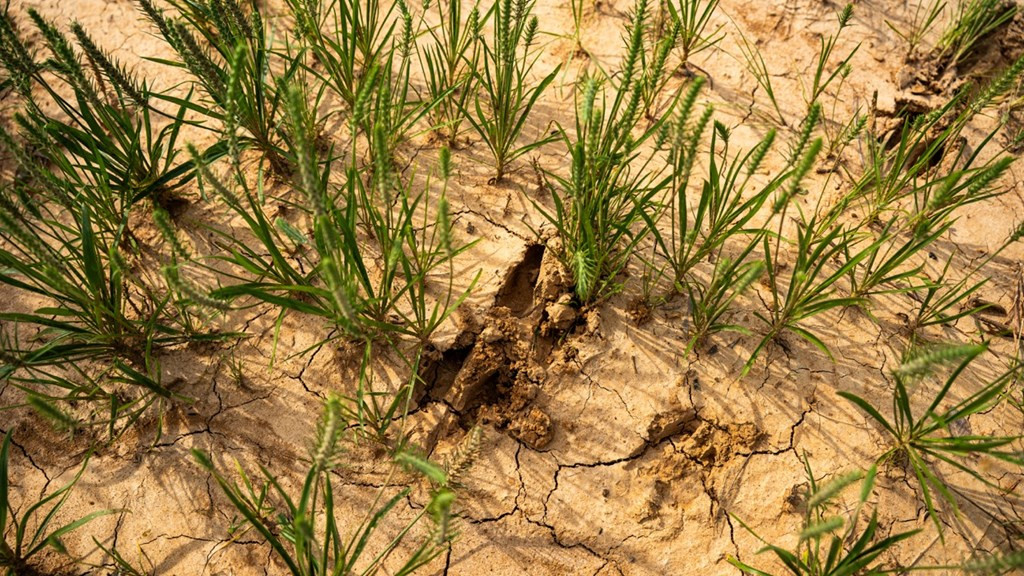 2 Cemetary Road Ecru, MS 38841 - Photo 19 of 39 Photo 19