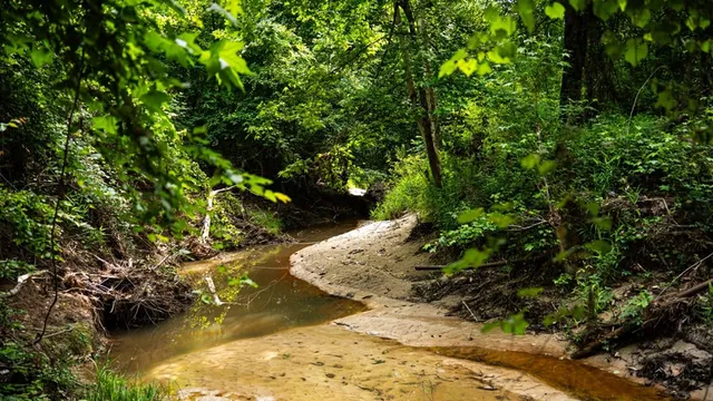 $825,000 | 2 Cemetary Road, Ecru, MS 38841