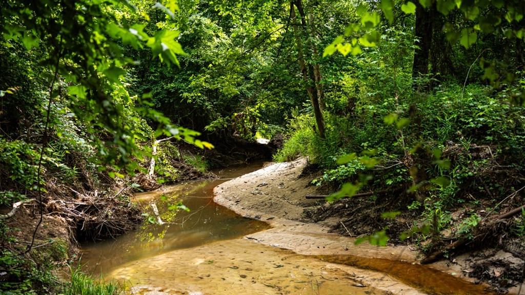 2 Cemetary Road Ecru, MS 38841 - Photo 20 of 39 Photo 20