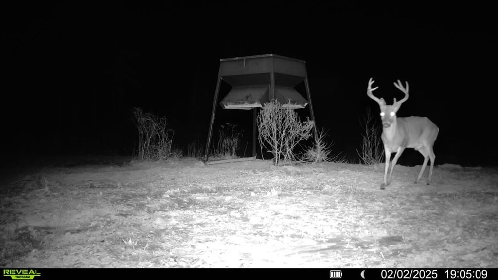 2 Cemetary Road Ecru, MS 38841 - Photo 2 of 39 Photo 2