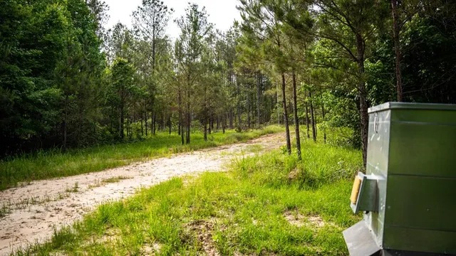 $825,000 | 2 Cemetary Road, Ecru, MS 38841