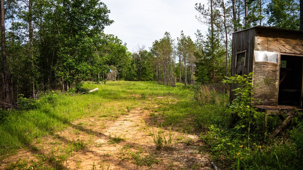 2 Cemetary Road Ecru, MS 38841 - Photo 24 of 39 Photo 24